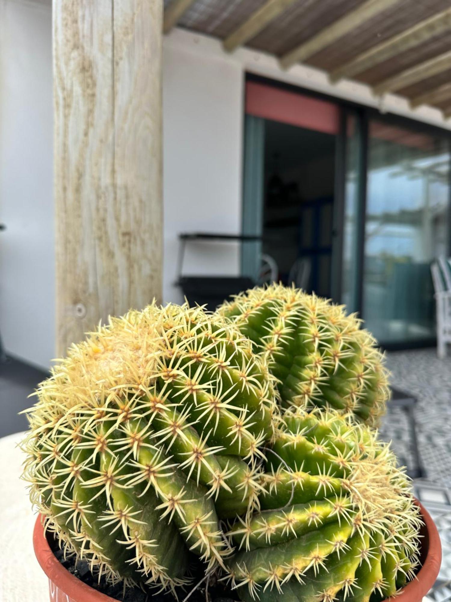 Casita Tiare Lajares 아파트 외부 사진